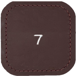 WOW number 7 Tan leather texture sample