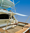 Tan Powder coted sunfly boat shade pole with topping lift pole